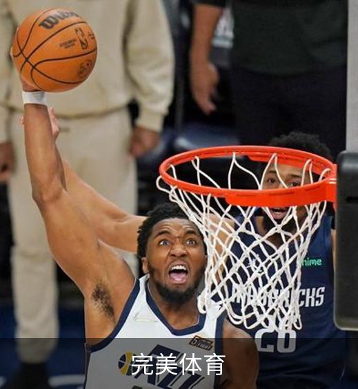 了解完美体育